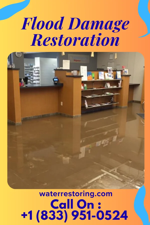 Flood Damage Restoration in Elmwood Park, NJ