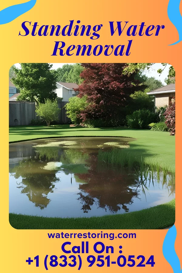 Standing Water Removal in Elmwood Park, NJ